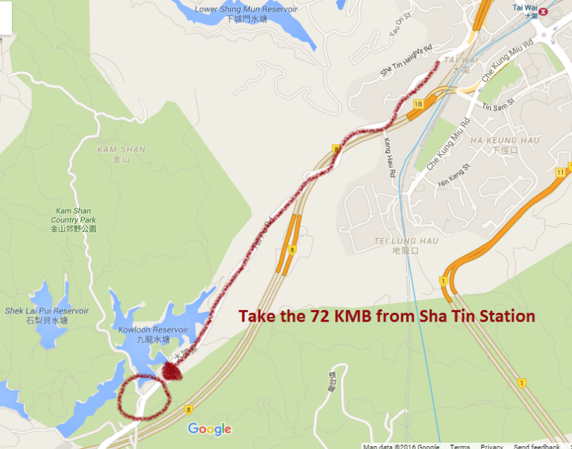 Google Map showing instructions from Sha Tin Rail Station to Kam Shan/Monkey Mountain
